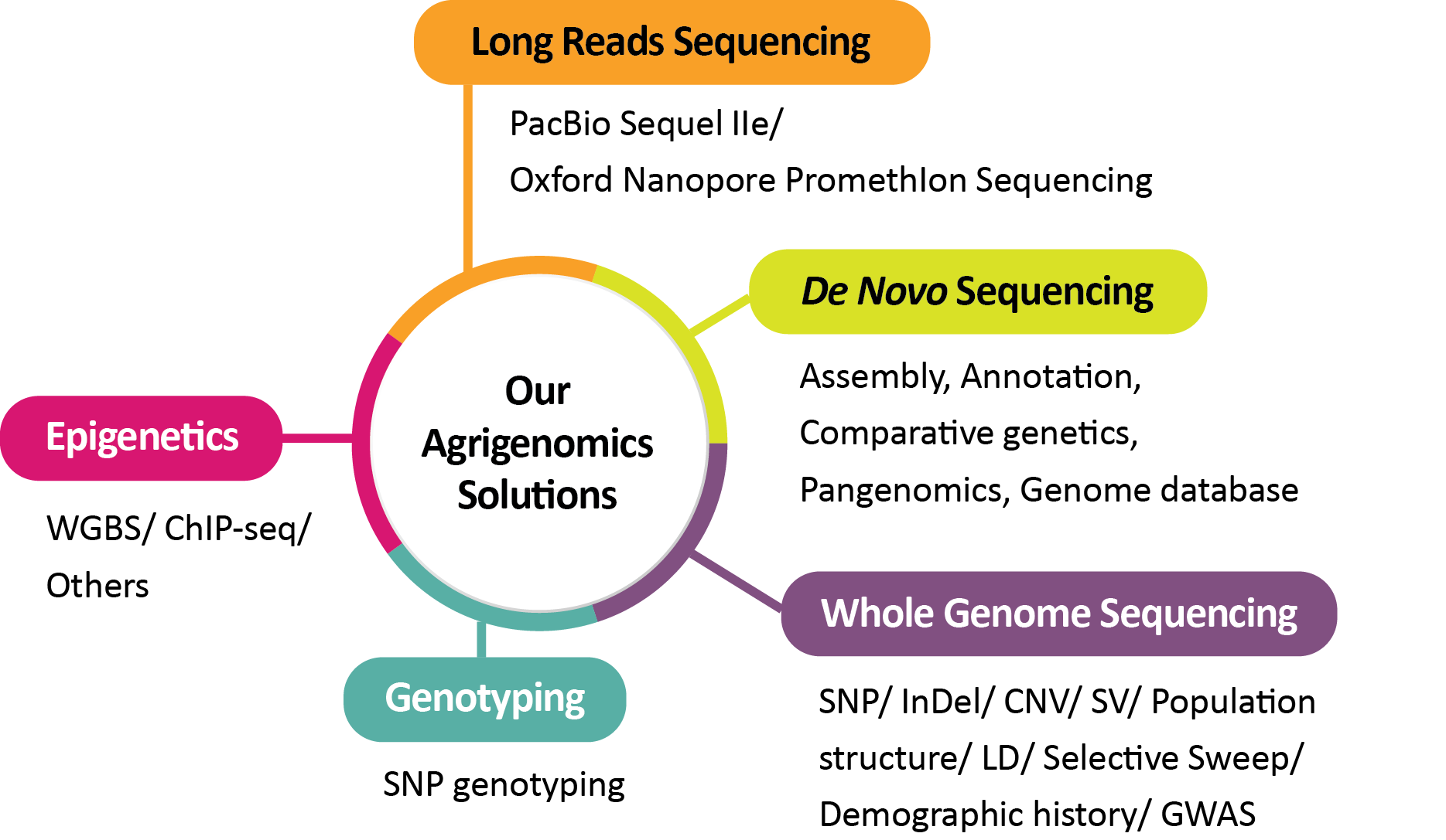 Novogene Agrigenomics Services and Solutions