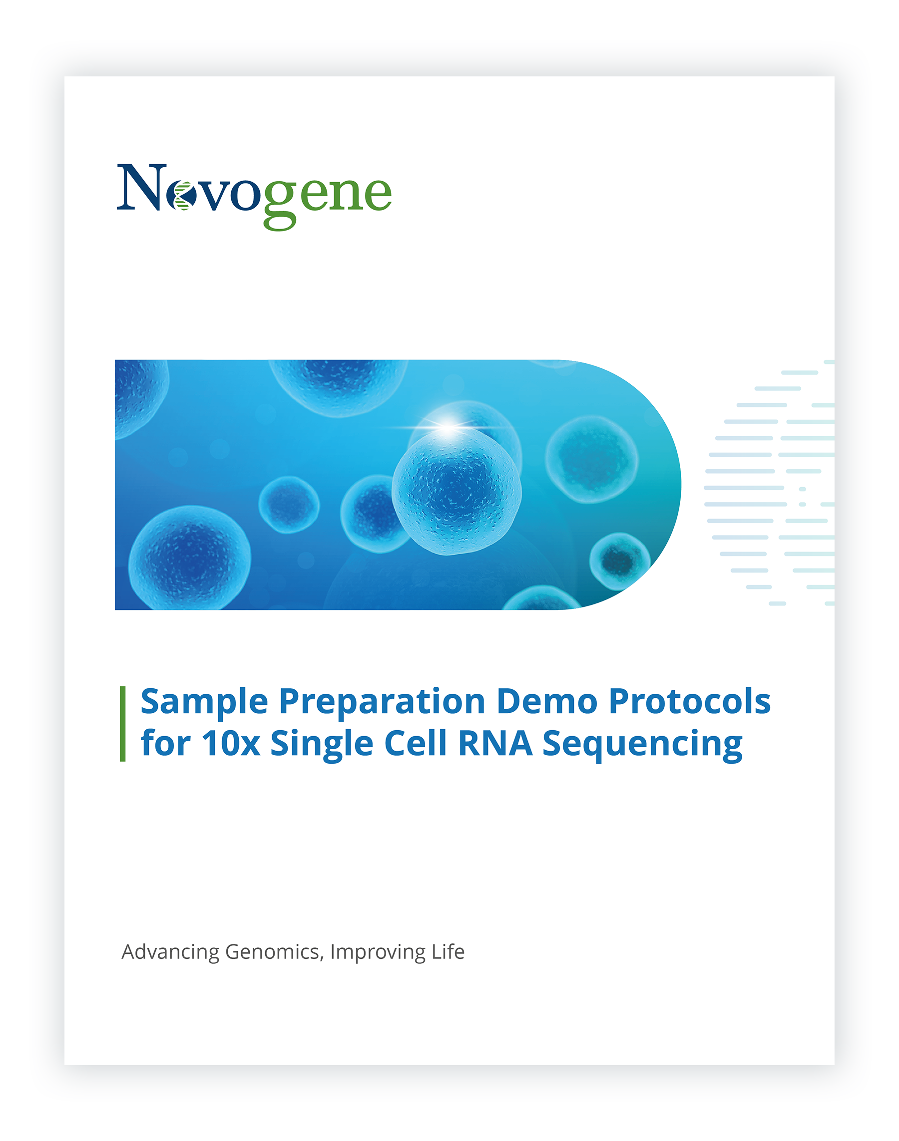 Novogene Suggestions on Sample Preparation Demo Protocols for 10x ...
